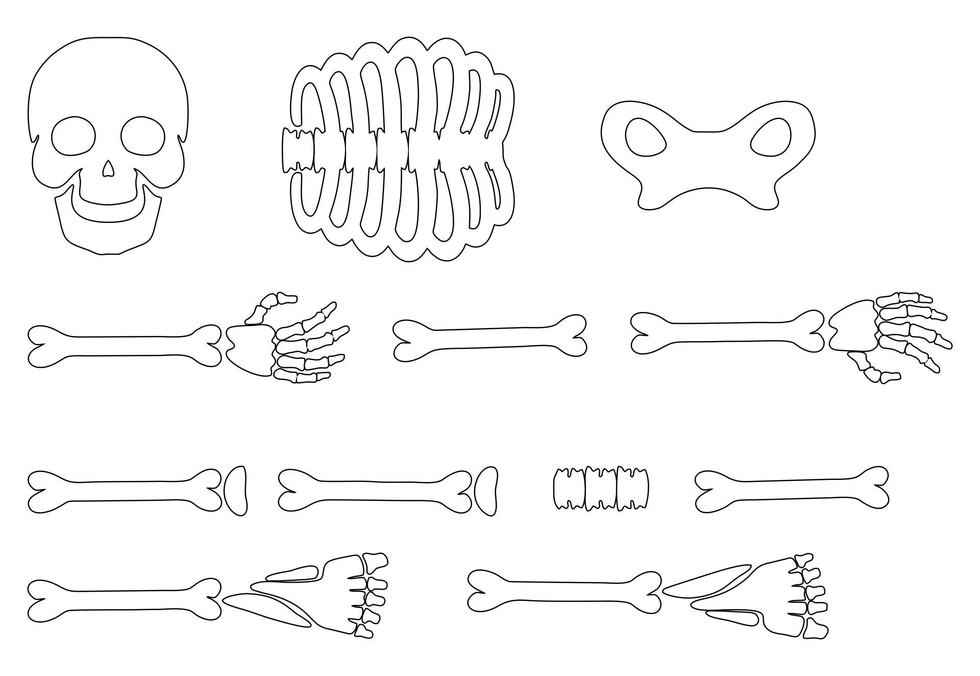 Discover 20 Work Halloween And Skeleton Template Ideas | Skeleton intended for Large Skeleton Cut Out Printable