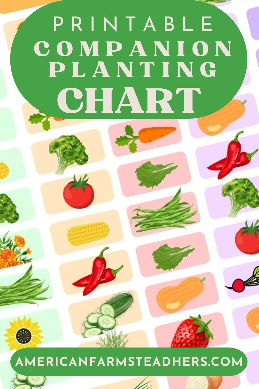 🥕 Free Printable Companion Planting Chart 🍅 pertaining to Free Printable Printable Companion Planting Chart