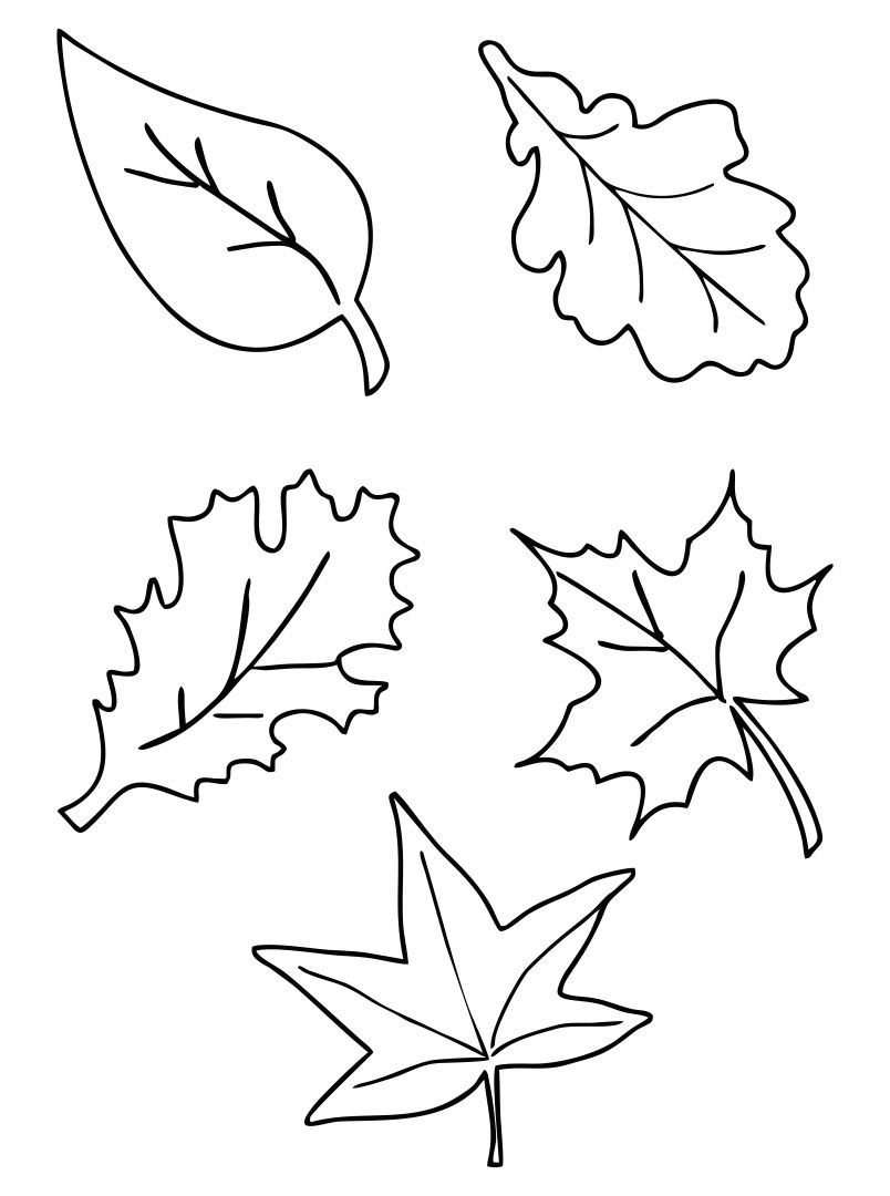 Fall Leaf Printables - Printable Party Favors pertaining to Free Printable Fall Leaf Patterns