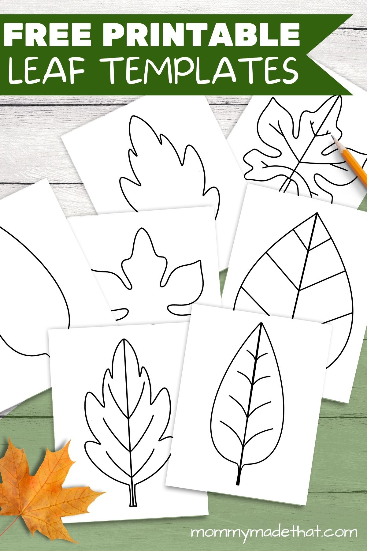 Free Leaf Templates &amp;amp; Outlines: Tons Of Printables!! in Free Printable Fall Leaf Patterns