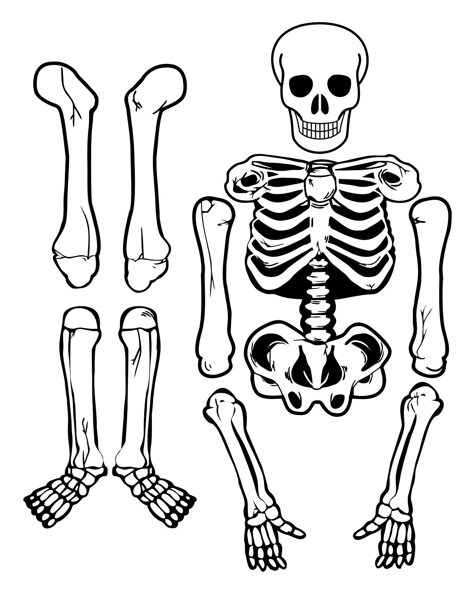 Large Skeleton Template - 20 Free Pdf Printables | Printablee in Large Skeleton Cut Out Printable