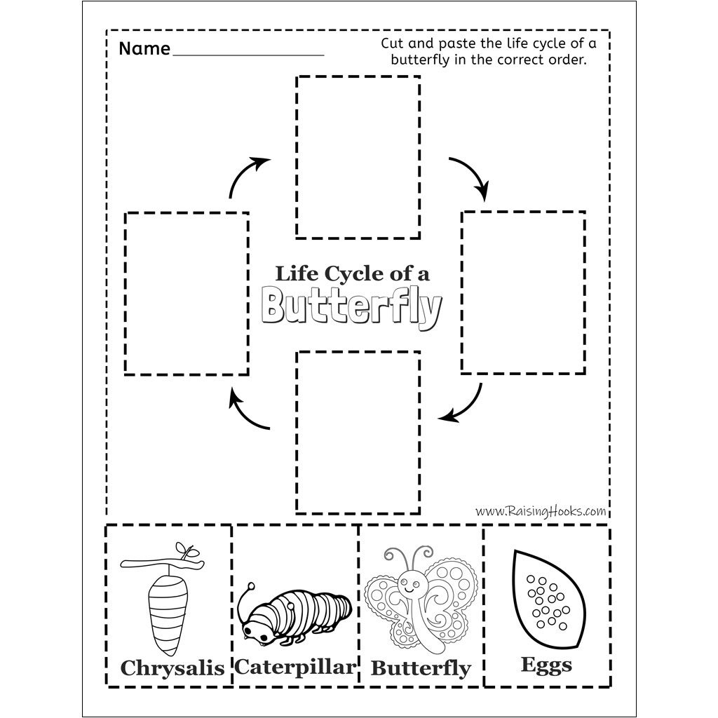 Life Cycle Of A Butterfly – Cut And Paste - Raising Hooks for Free Printable Butterfly Life Cycle