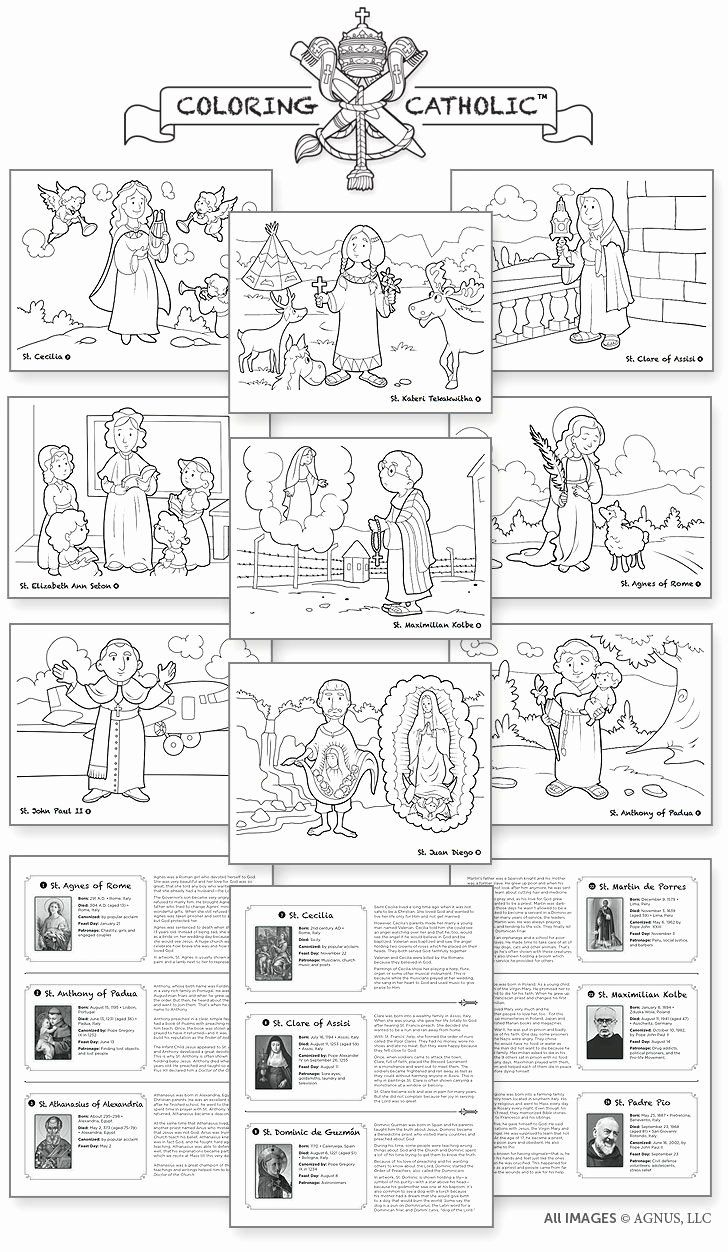 Order Of The Mass Worksheet Lovely Catholic Mass Parts In Order throughout Printable Parts of the Catholic Mass Worksheet