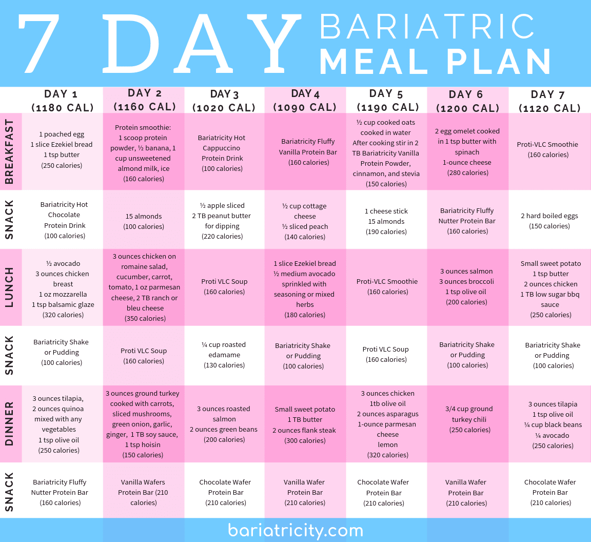 Post Bariatric Meal Plan pertaining to Printable Bariatric Meal Plan