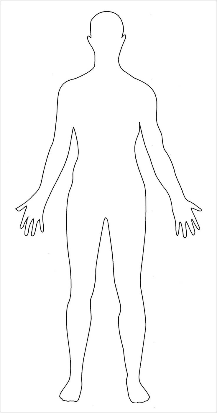 Printable Outline Of A Body : Blank Diagram Anatomy Anatomical with regard to Outline of the Human Body Printable