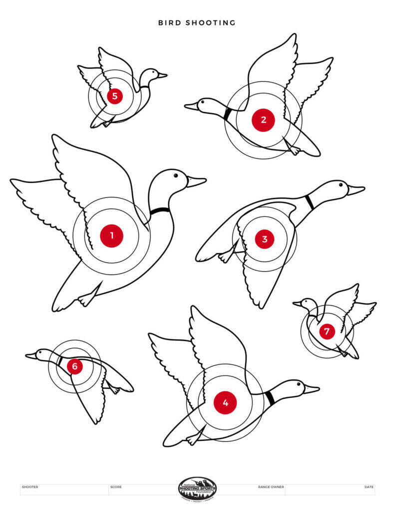 Printable Shooting Targets And Gun Targets • Nssf regarding Free Targets For Shooting Printable