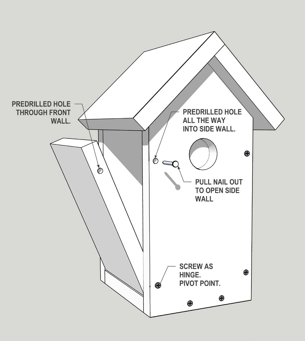 Three Designed Birdhouse Plans For Eastern Bluebirds | Oklahoma with Printable Free Printable Bluebird House Plans