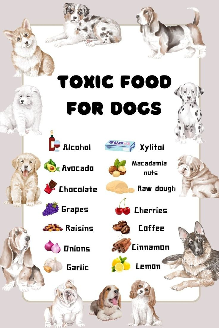 Toxic Foods For Dogs Printable in Foods Poisonous To Dogs Printable