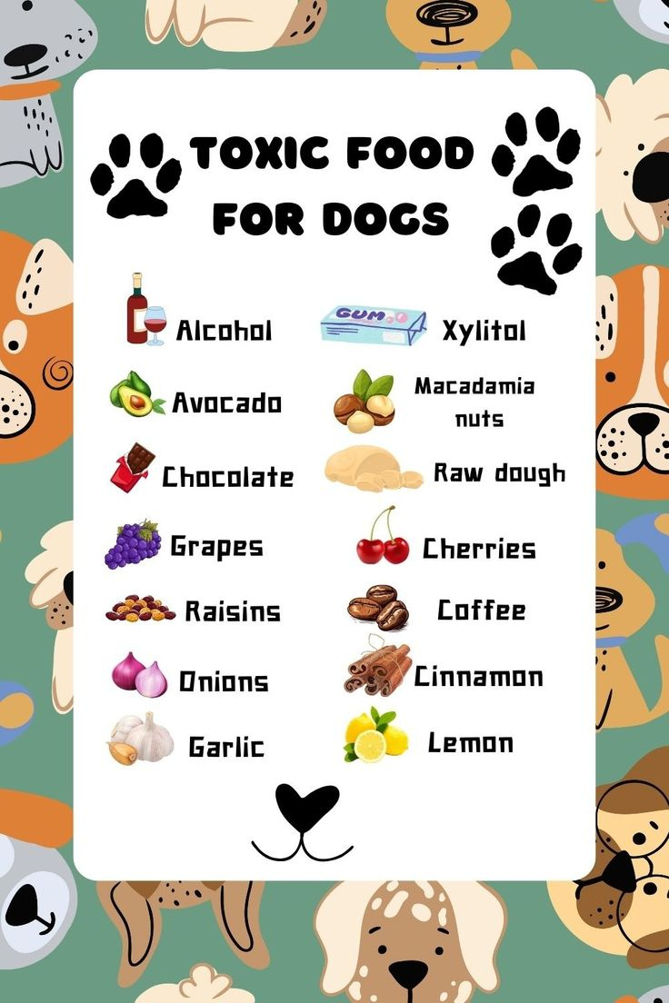 Toxic Foods For Dogs Printable intended for Foods Poisonous to Dogs Printable